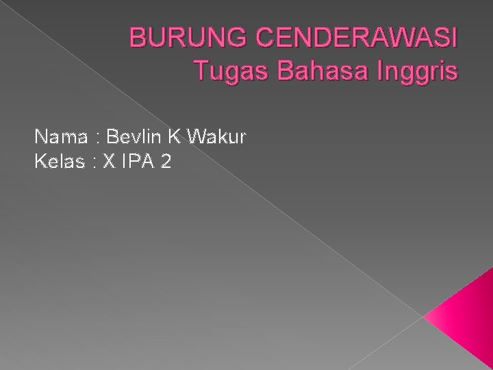 BURUNG CENDERAWASI Tugas Bahasa Inggris Nama : Bevlin K Wakur Kelas : X IPA