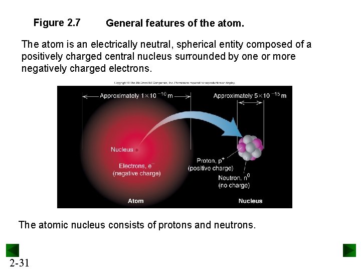 Figure 2. 7 General features of the atom. The atom is an electrically neutral,
