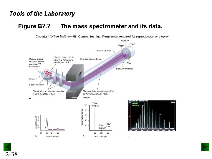 Tools of the Laboratory Figure B 2. 2 2 -38 The mass spectrometer and