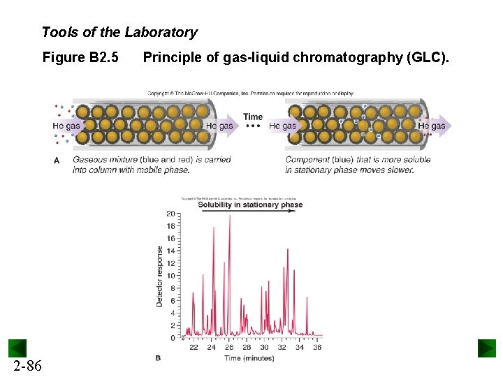 Tools of the Laboratory Figure B 2. 5 2 -86 Principle of gas-liquid chromatography