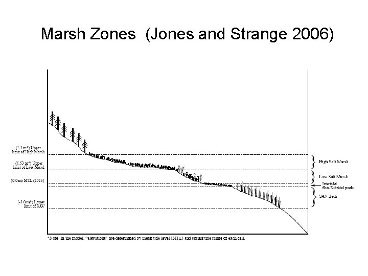 Marsh Zones (Jones and Strange 2006) Marsh Zones (Jones and Strange 2006)