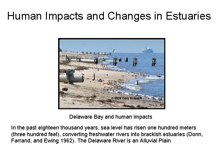 Human Impacts and Changes in Estuaries Delaware Bay and human impacts In the past Human Impacts and Changes in Estuaries Delaware Bay and human impacts In the past