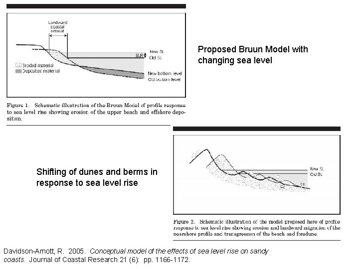 Proposed Bruun Model with changing sea level Shifting of dunes and berms in response Proposed Bruun Model with changing sea level Shifting of dunes and berms in response