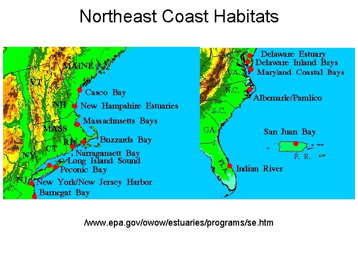 Northeast Coast Habitats /www. epa. gov/owow/estuaries/programs/se. htm Northeast Coast Habitats /www. epa. gov/owow/estuaries/programs/se. htm