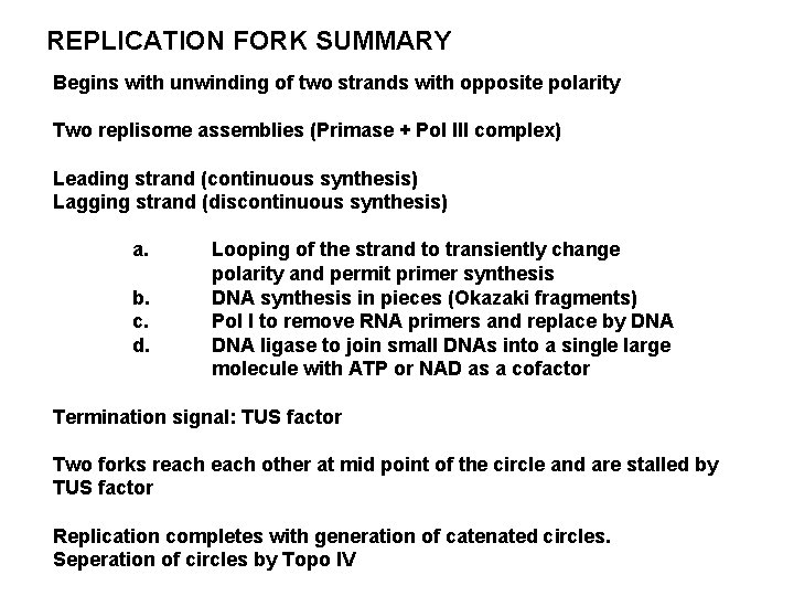 REPLICATION FORK SUMMARY Begins with unwinding of two strands with opposite polarity Two replisome