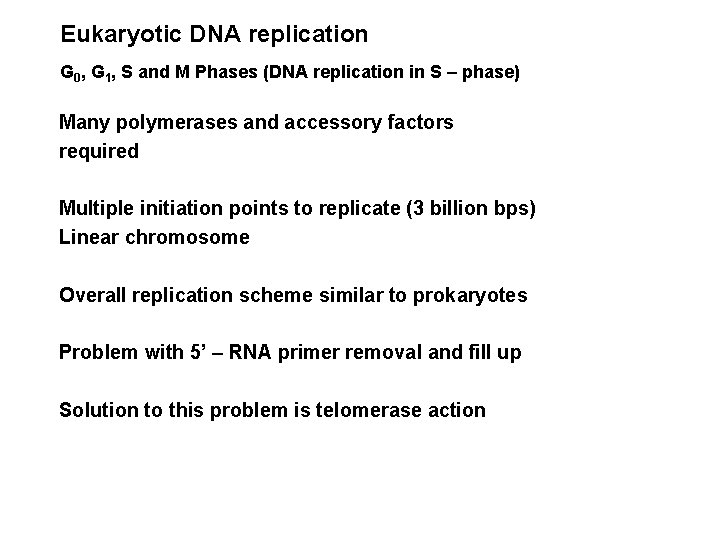 Eukaryotic DNA replication G 0, G 1, S and M Phases (DNA replication in