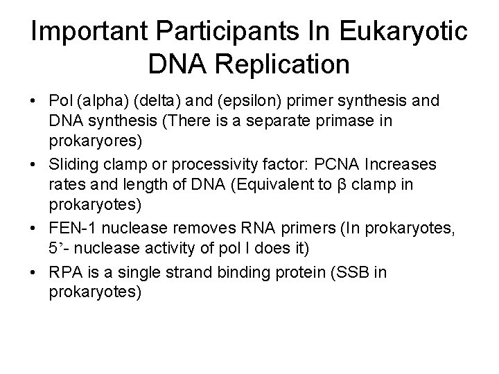 Important Participants In Eukaryotic DNA Replication • Pol (alpha) (delta) and (epsilon) primer synthesis