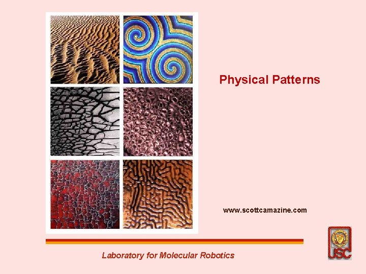 Physical Patterns www. scottcamazine. com Laboratory for Molecular Robotics 