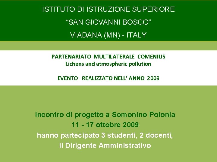 ISTITUTO DI ISTRUZIONE SUPERIORE “SAN GIOVANNI BOSCO” VIADANA (MN) - ITALY PARTENARIATO MULTILATERALE COMENIUS