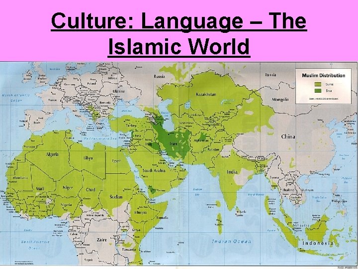 Culture: Language – The Islamic World 