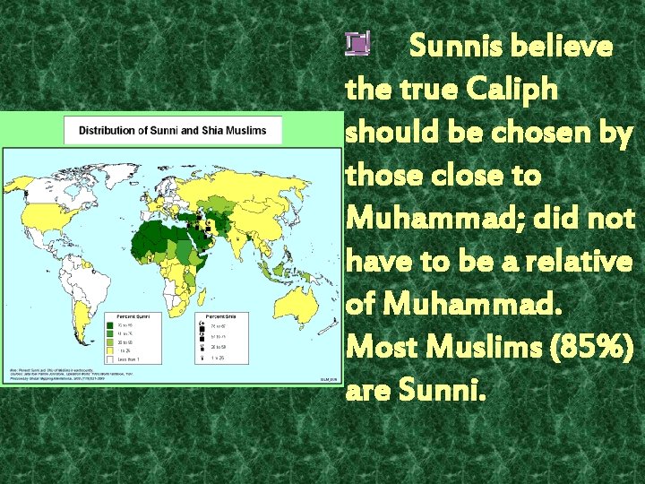 Sunnis believe the true Caliph should be chosen by those close to Muhammad; did