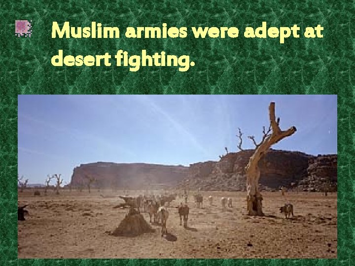 Muslim armies were adept at desert fighting. 