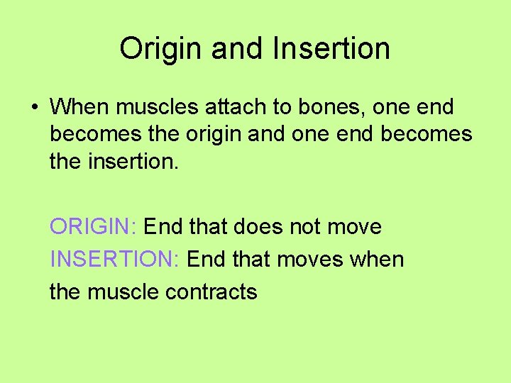 Origin and Insertion • When muscles attach to bones, one end becomes the origin