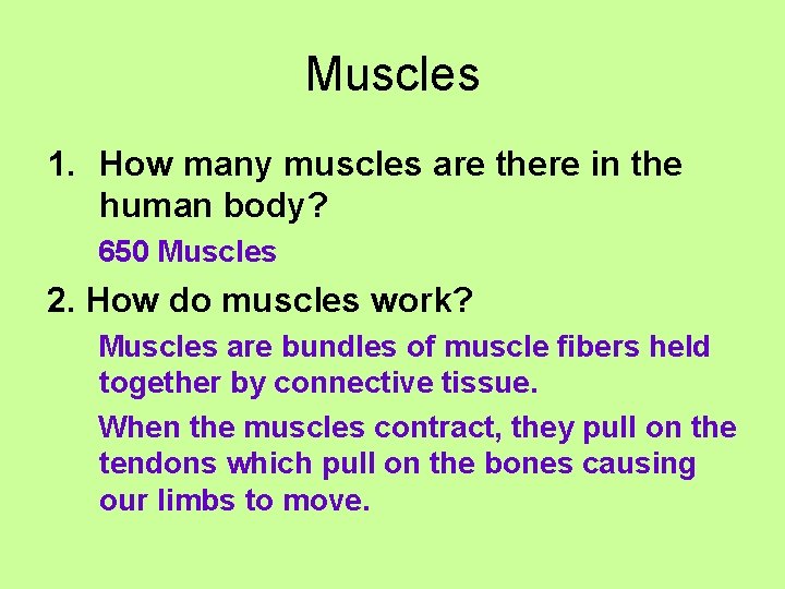 Muscles 1. How many muscles are there in the human body? 650 Muscles 2.