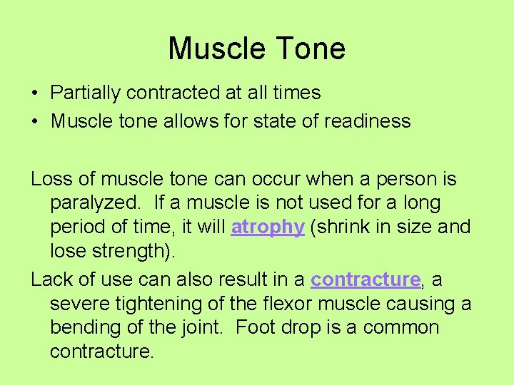 Muscle Tone • Partially contracted at all times • Muscle tone allows for state