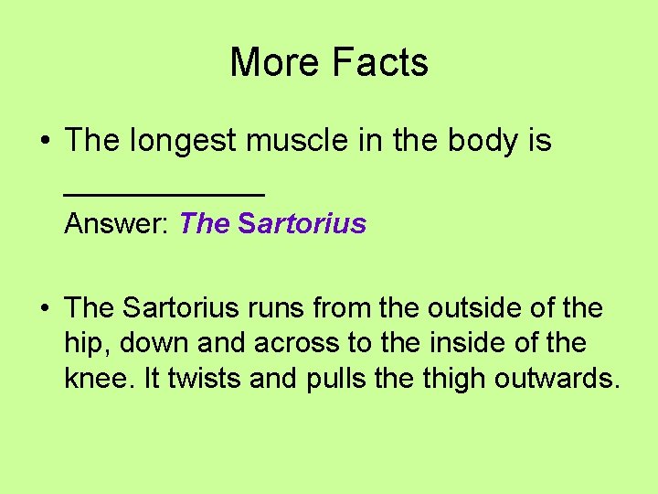 More Facts • The longest muscle in the body is ______ Answer: The Sartorius