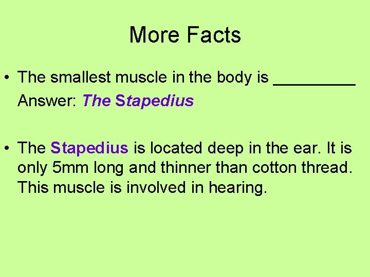 More Facts • The smallest muscle in the body is _____ Answer: The Stapedius