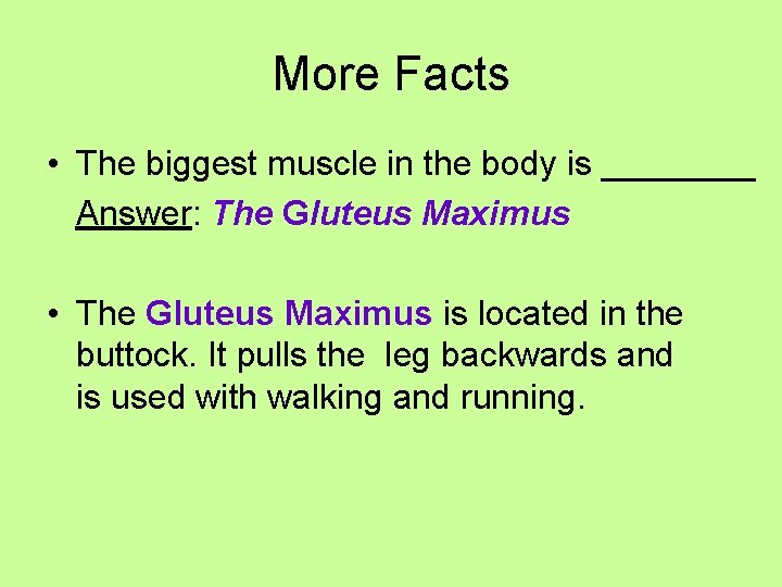 More Facts • The biggest muscle in the body is ____ Answer: The Gluteus