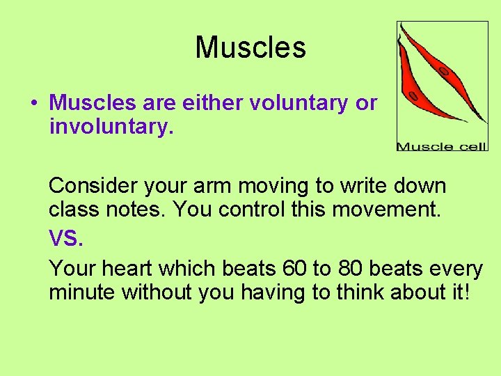 Muscles • Muscles are either voluntary or involuntary. Consider your arm moving to write