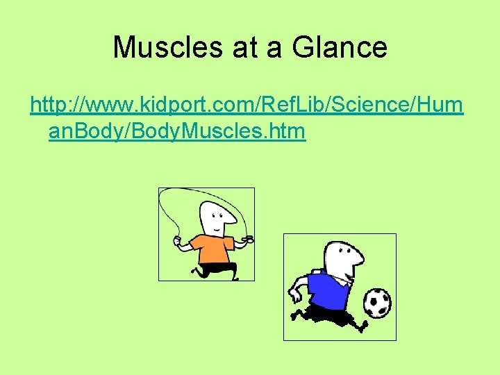 Muscles at a Glance http: //www. kidport. com/Ref. Lib/Science/Hum an. Body/Body. Muscles. htm 