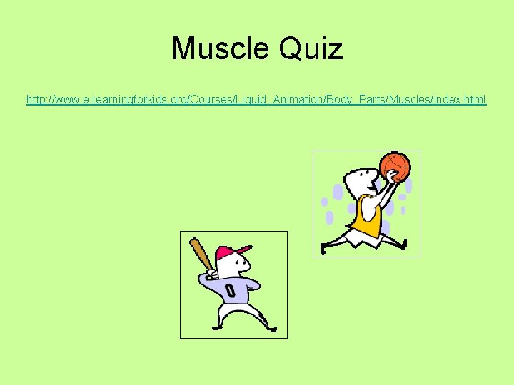 Muscle Quiz http: //www. e-learningforkids. org/Courses/Liquid_Animation/Body_Parts/Muscles/index. html 
