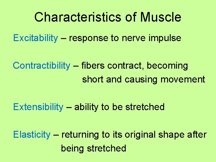 Characteristics of Muscle Excitability – response to nerve impulse Contractibility – fibers contract, becoming