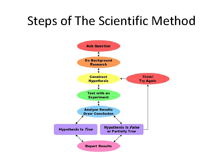 Steps of The Scientific Method 