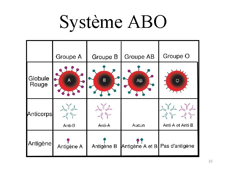 Système ABO 10 Système ABO 10
