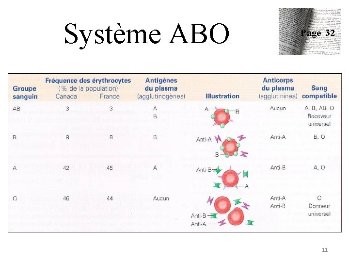Système ABO Page 32 11 Système ABO Page 32 11
