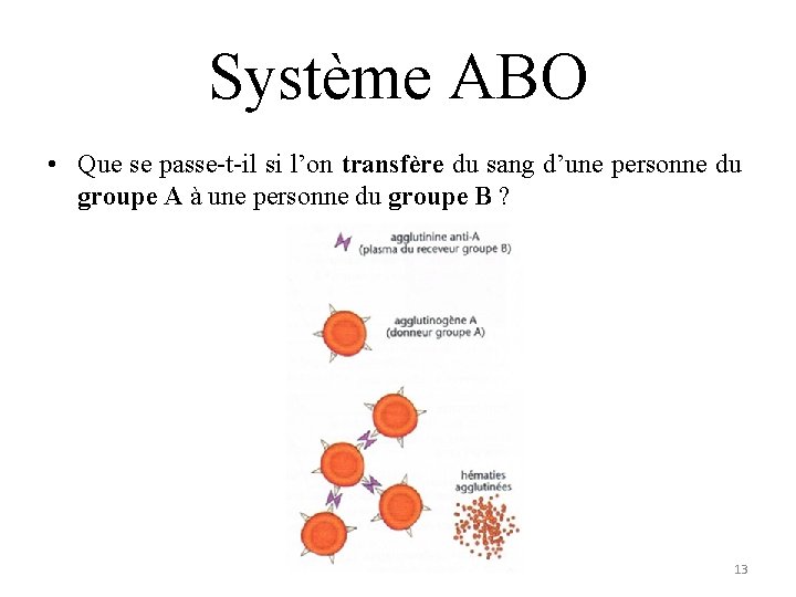 Système ABO • Que se passe-t-il si l’on transfère du sang d’une personne du Système ABO • Que se passe-t-il si l’on transfère du sang d’une personne du