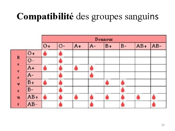 Compatibilité des groupes sanguins 16 Compatibilité des groupes sanguins 16