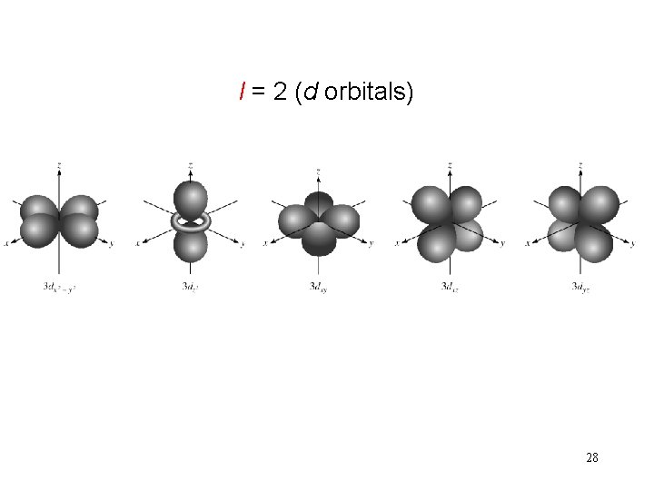 l = 2 (d orbitals) 28 l = 2 (d orbitals) 28