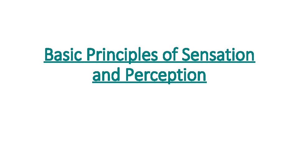 Basic Principles of Sensation and Perception 