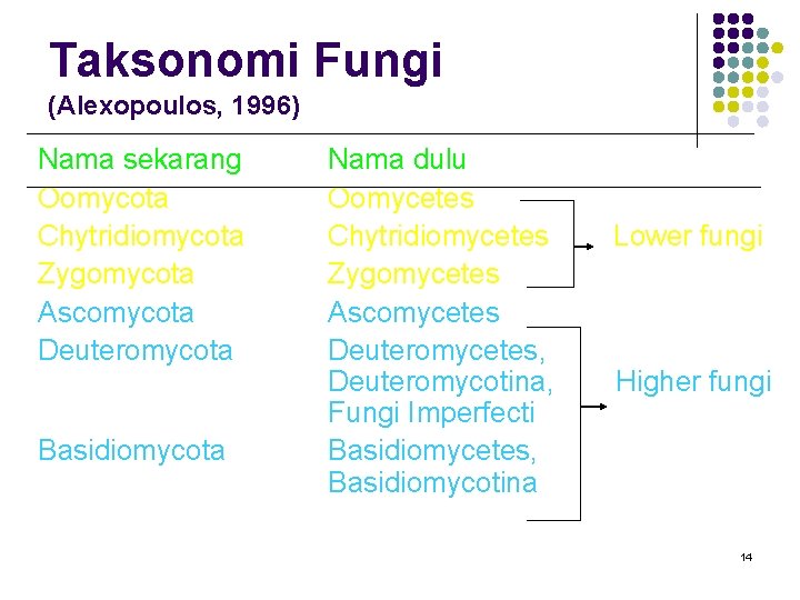 Taksonomi Fungi (Alexopoulos, 1996) Nama sekarang Oomycota Chytridiomycota Zygomycota Ascomycota Deuteromycota Basidiomycota Nama dulu Taksonomi Fungi (Alexopoulos, 1996) Nama sekarang Oomycota Chytridiomycota Zygomycota Ascomycota Deuteromycota Basidiomycota Nama dulu
