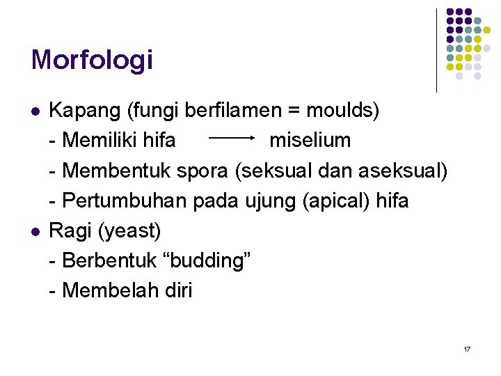 Morfologi l l Kapang (fungi berfilamen = moulds) - Memiliki hifa miselium - Membentuk Morfologi l l Kapang (fungi berfilamen = moulds) - Memiliki hifa miselium - Membentuk