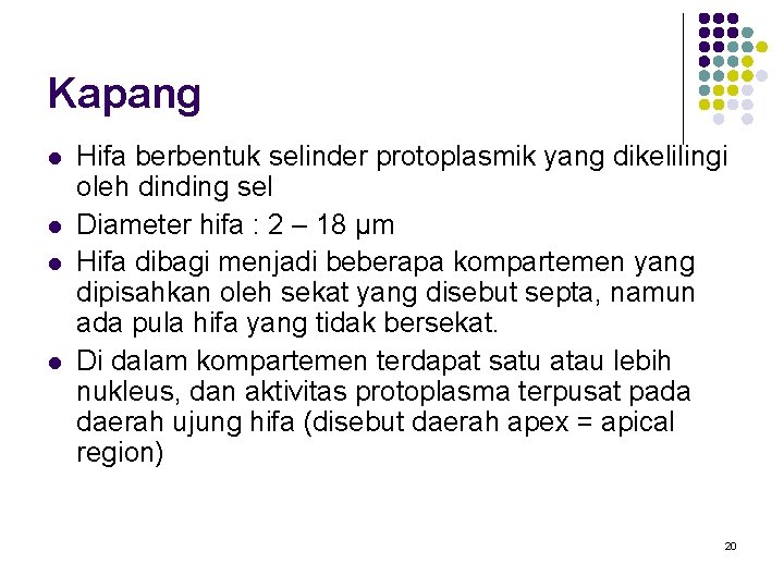 Kapang l l Hifa berbentuk selinder protoplasmik yang dikelilingi oleh dinding sel Diameter hifa Kapang l l Hifa berbentuk selinder protoplasmik yang dikelilingi oleh dinding sel Diameter hifa