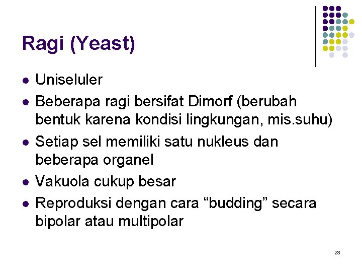 Ragi (Yeast) l l l Uniseluler Beberapa ragi bersifat Dimorf (berubah bentuk karena kondisi Ragi (Yeast) l l l Uniseluler Beberapa ragi bersifat Dimorf (berubah bentuk karena kondisi