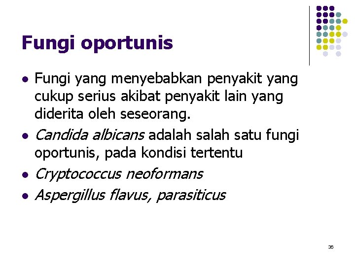 Fungi oportunis l l Fungi yang menyebabkan penyakit yang cukup serius akibat penyakit lain Fungi oportunis l l Fungi yang menyebabkan penyakit yang cukup serius akibat penyakit lain