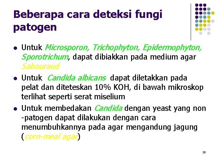 Beberapa cara deteksi fungi patogen l l l Untuk Microsporon, Trichophyton, Epidermophyton, Sporotrichum, dapat Beberapa cara deteksi fungi patogen l l l Untuk Microsporon, Trichophyton, Epidermophyton, Sporotrichum, dapat