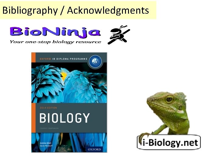 Bibliography / Acknowledgments 