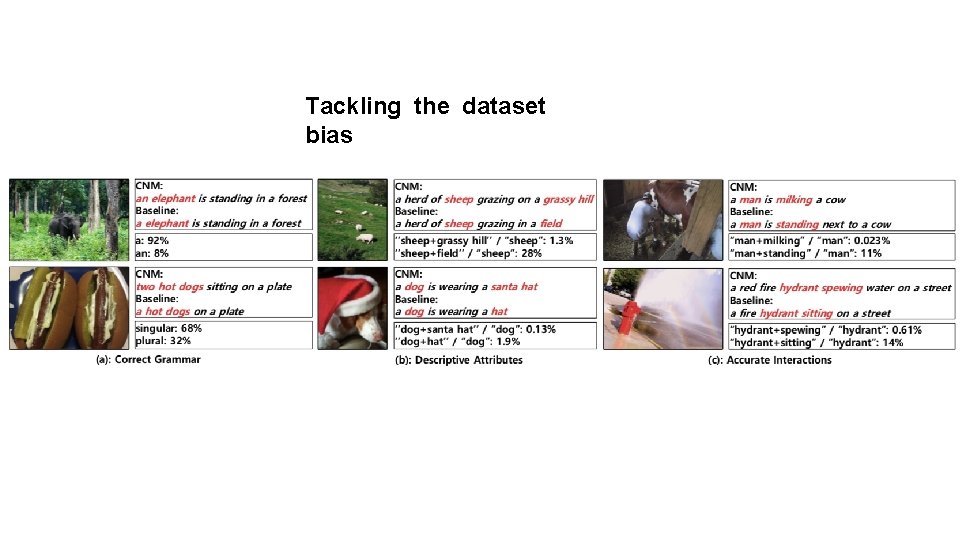 Tackling the dataset bias 