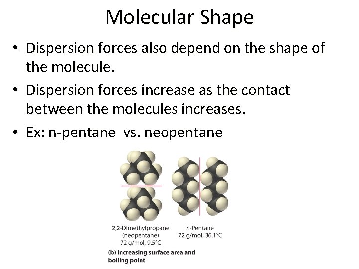 Molecular Shape • Dispersion forces also depend on the shape of the molecule. •