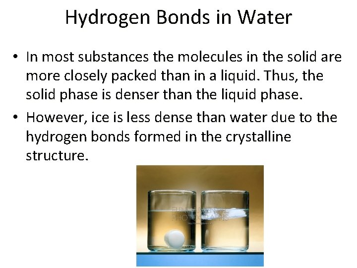 Hydrogen Bonds in Water • In most substances the molecules in the solid are
