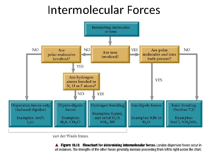 Intermolecular Forces 