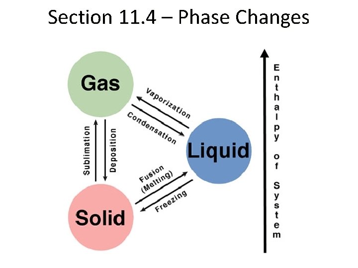 Section 11. 4 – Phase Changes 