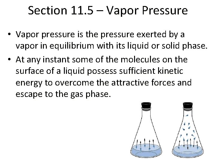 Section 11. 5 – Vapor Pressure • Vapor pressure is the pressure exerted by