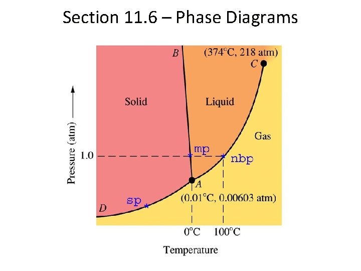 Section 11. 6 – Phase Diagrams 