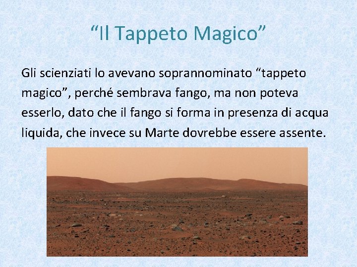 “Il Tappeto Magico” Gli scienziati lo avevano soprannominato “tappeto magico”, perché sembrava fango, ma