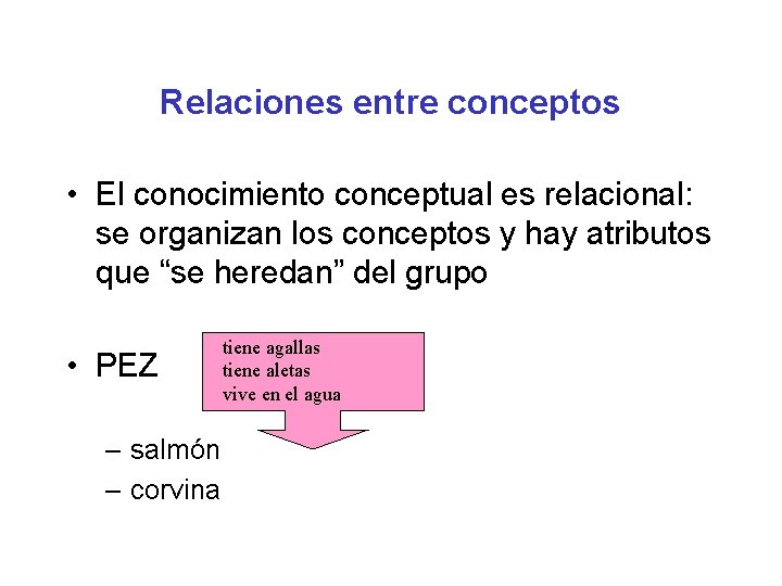 Relaciones entre conceptos • El conocimiento conceptual es relacional: se organizan los conceptos y