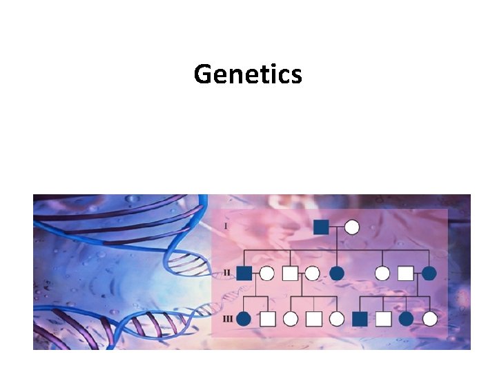 Genetics 